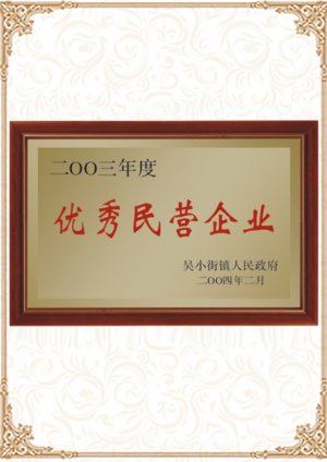 2003優(yōu)秀民營企業(yè)